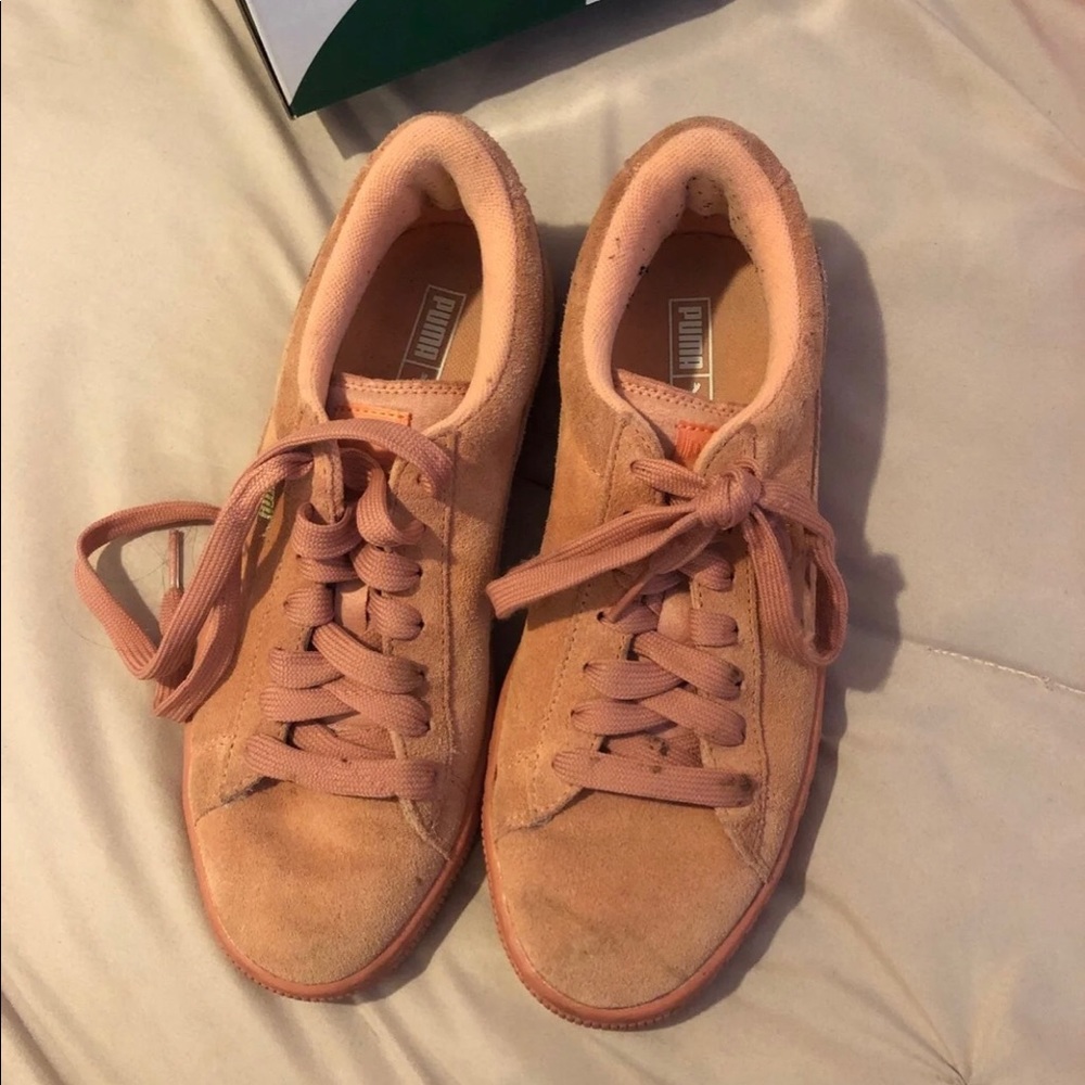Salmon pumas